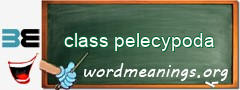 WordMeaning blackboard for class pelecypoda